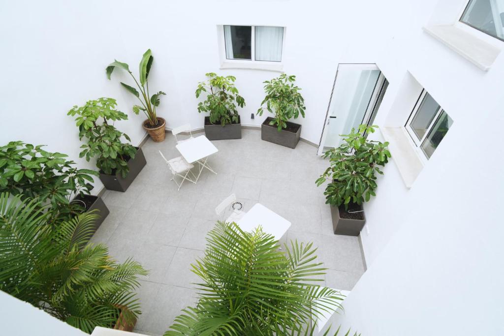 La Inmaculada Alojamientos - 6