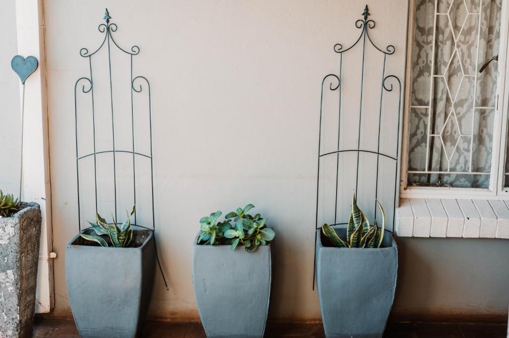 Gallery image of La Maison Guesthouse in Postmasburg