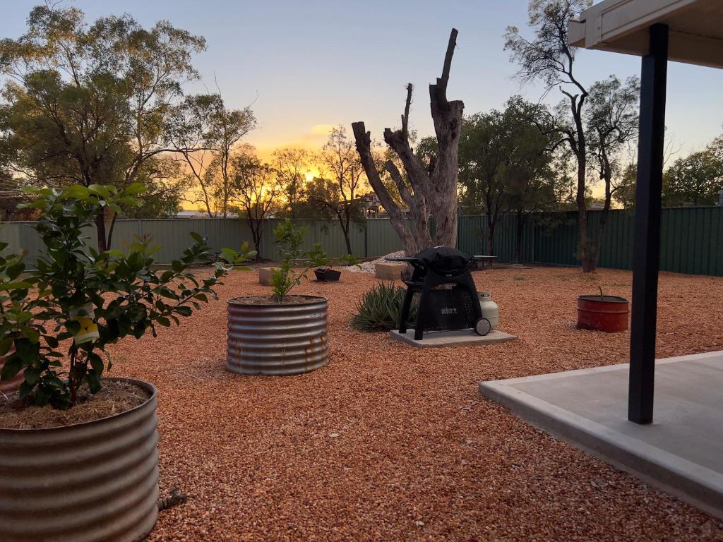 Zahrada ubytování The Miners Cottage On Nettleton Lightning Ridge