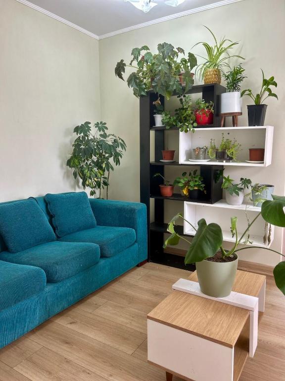 a blue couch in a living room with potted plants at Amplio departamento in Temuco