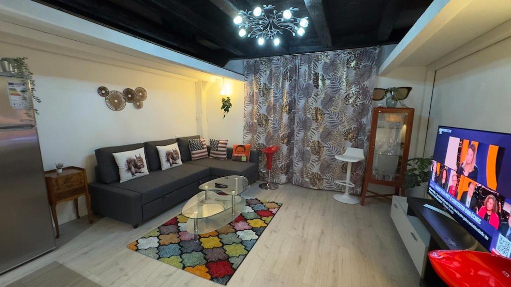 un salon avec un canapé et une télévision dans l'établissement Cosy loft au coeur de Nantes centre ville, à Nantes