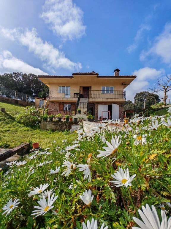 a house on a hill with flowers in the foreground at Apartamento con jardín in La Franca