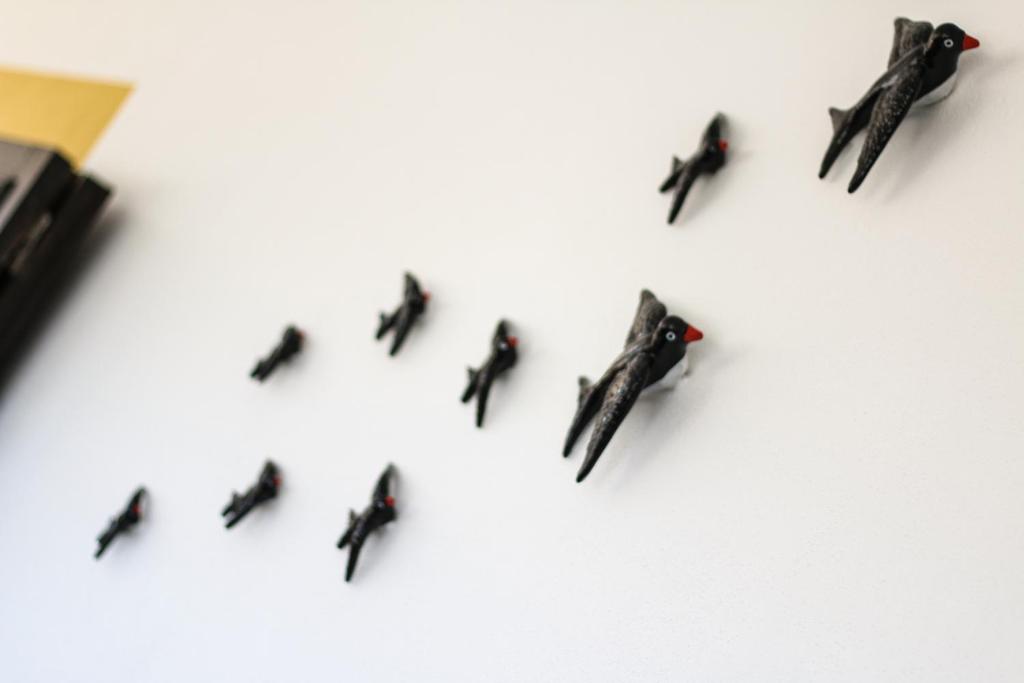 a group of small birds flying in formation at Quinta das Andorinhas in Carvoeiro