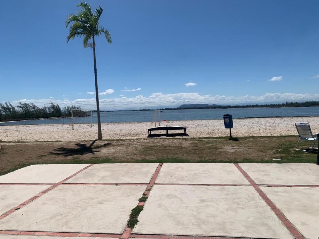 a bench and a palm tree on the beach at Alojamiento Arraial Do Cabo Golden Lake in Arraial do Cabo
