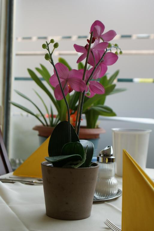 Bahn-Hotel - Resim 27