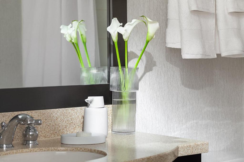 Chelsea Hotel Toronto - Resim 28