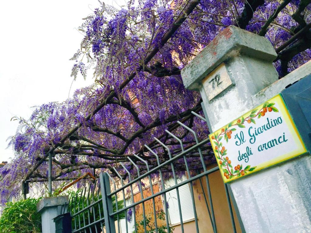 a fence with purple flowers on a building at Orange Garden in Minturno