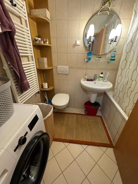 巴士拉Basra Luxury Apartment的浴室配有洗衣机、盥洗盆和卫生间