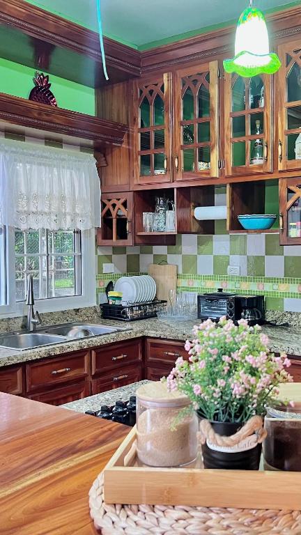Kuchyň nebo kuchyňský kout v ubytování Casa LuzLago 2
