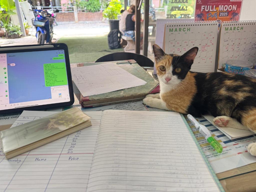 O animal ou animais de estimação com os hóspedes em KohTaoHostel