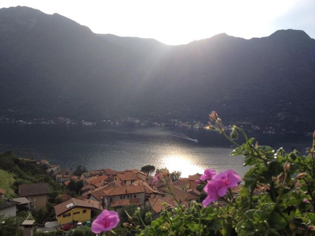 vistas a una ciudad y a un cuerpo de agua en Il Mulino di Hotel Villa Aurora, en Nesso