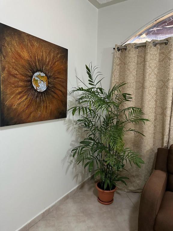 a plant in a room with a painting and a curtain at Modern and Cozy Loft in La Ceiba