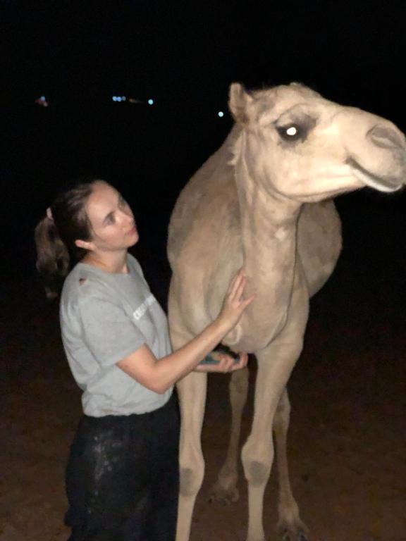 Zvířata v hostelu nebo okolí