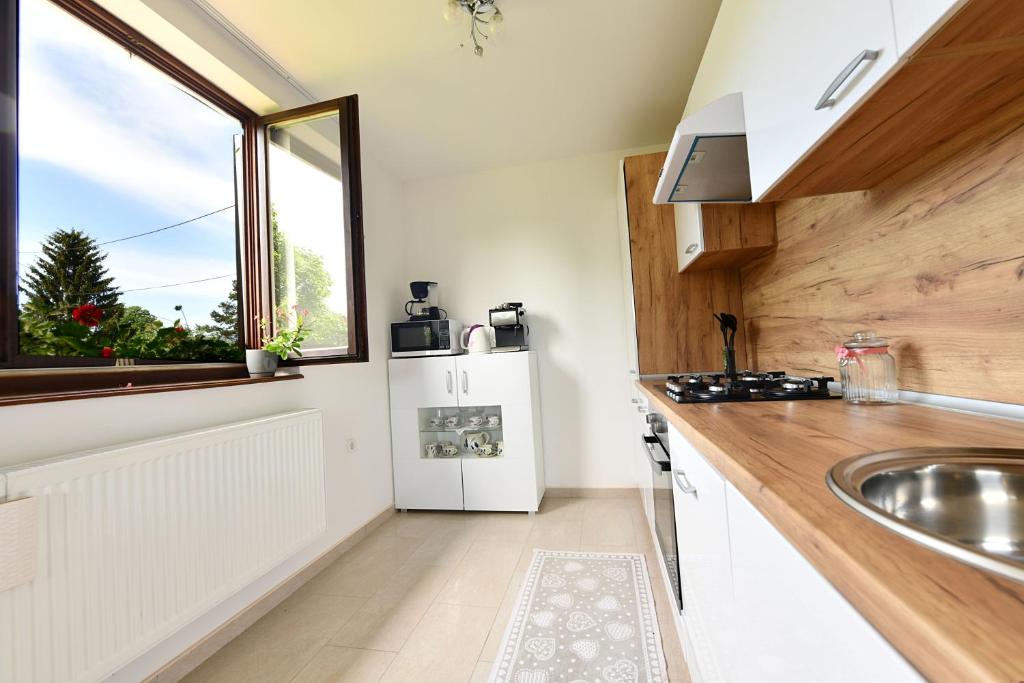 Kuchyňa alebo kuchynka v ubytovaní Apartment Mlađen