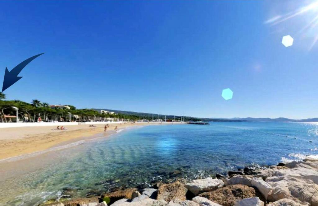 une plage avec un oiseau survolant l'eau dans l'établissement Logement climatisé avec jardin et parking pour 2 personnes en bord de plage, à La Ciotat
