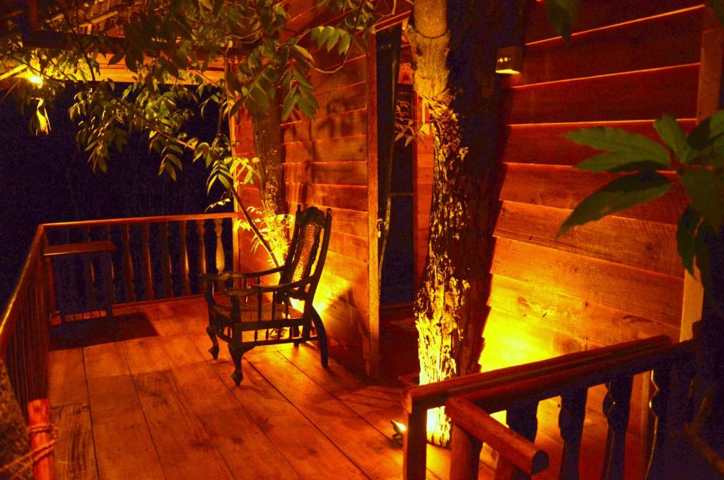 Fotografie z fotogalerie ubytování Tree House-Midigama v destinaci Weligama