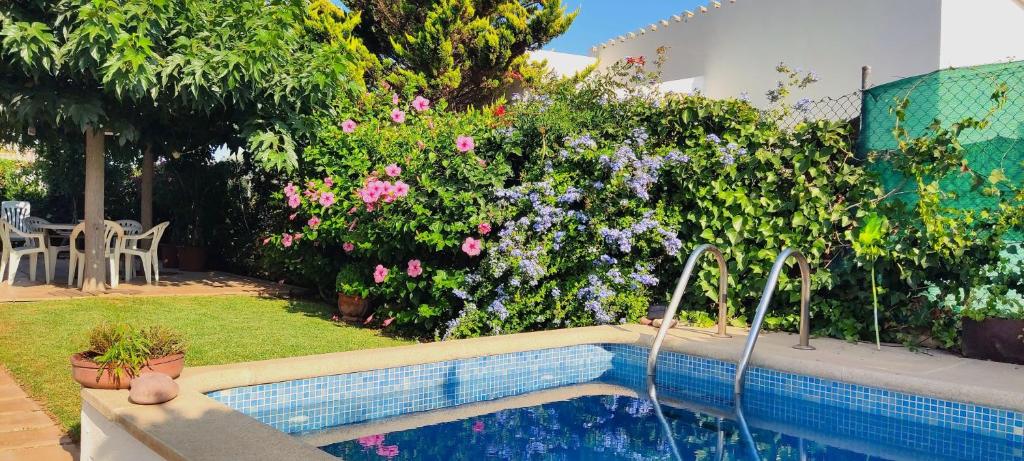 a swimming pool in a yard with flowers at Clarona in Cala en Blanes