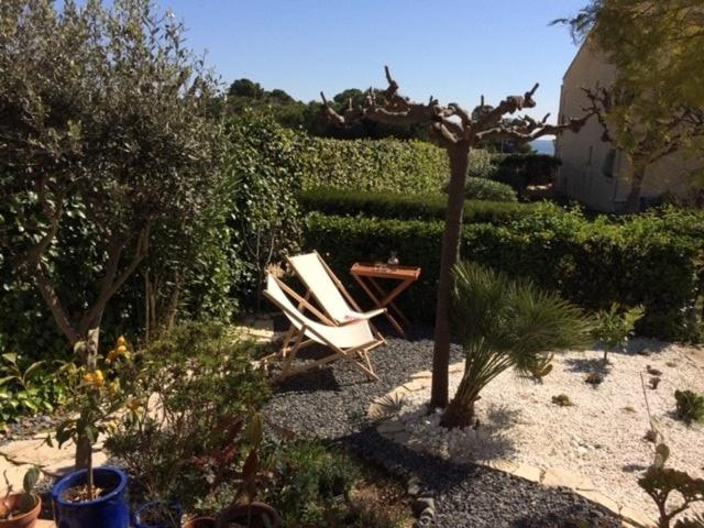 une chaise et une table dans le jardin dans l'établissement L'Oasis in Mèze,, à Mèze