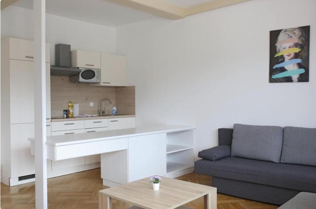Kuchyň nebo kuchyňský kout v ubytování Apartmenthotel Karawankenblick