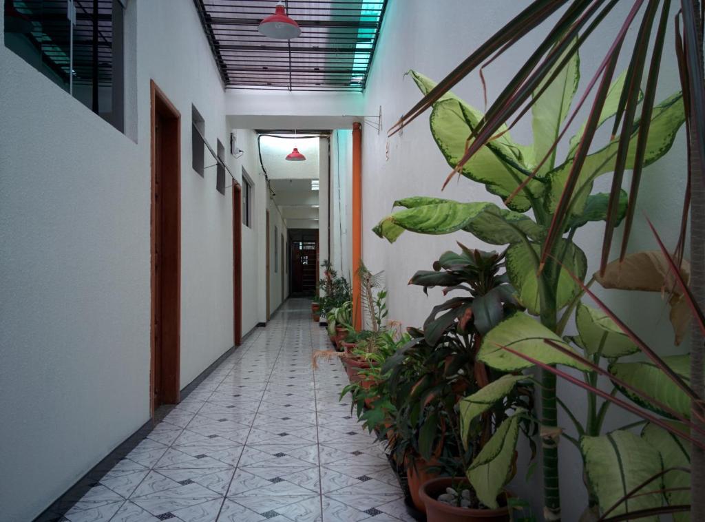 Hotel Toraryca