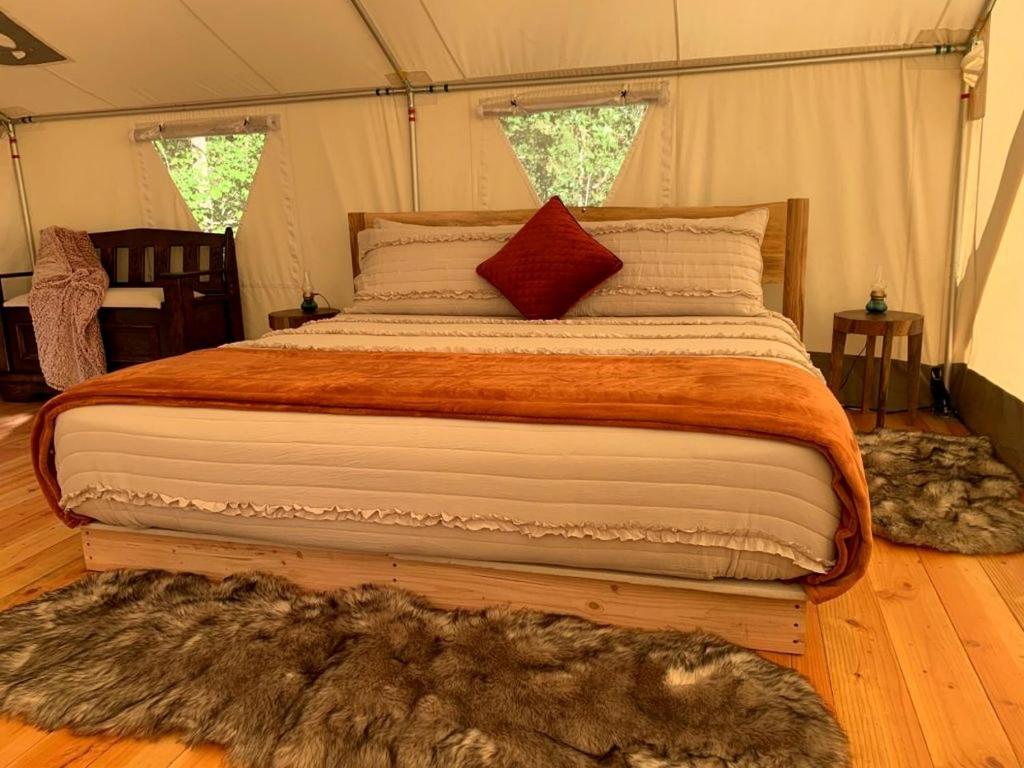 Luxury Glamping Tent for Oregon Getaway, Idleyld Park (preços ...