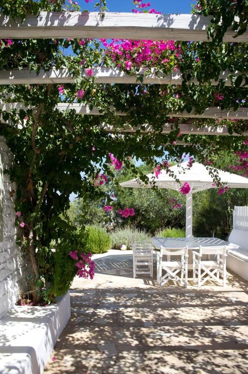 Ogród w obiekcie Villa Joy in Ampelas Paros