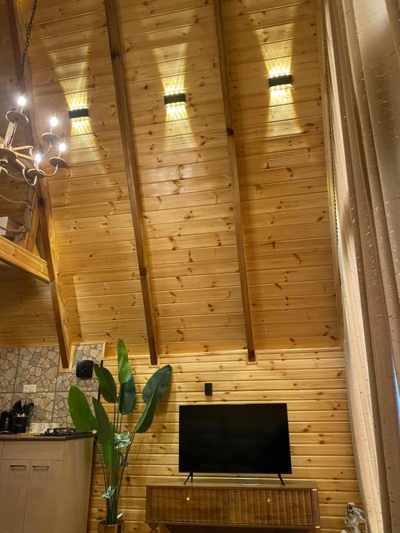 TV a/nebo společenská místnost v ubytování Bondo'S Cottage