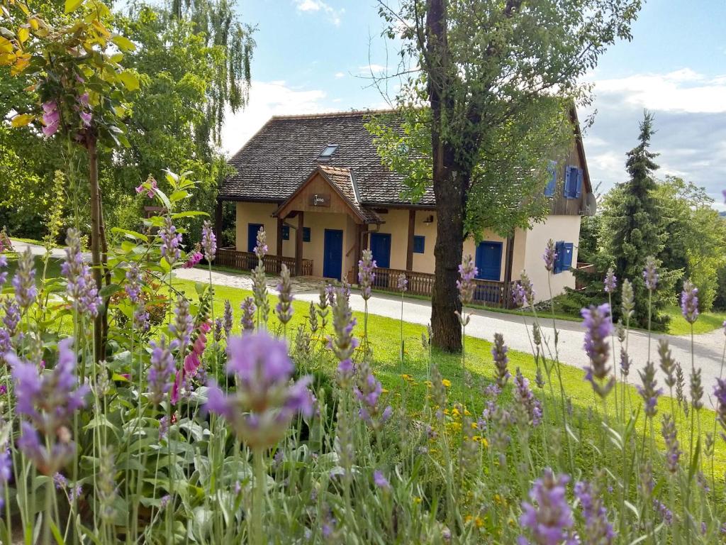 Winery, Restaurant & Pension Vuglec Breg - 15