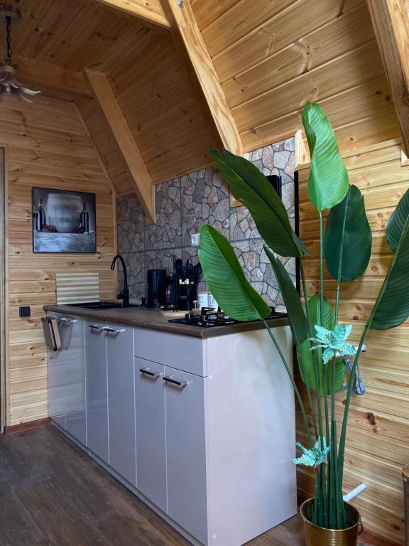 Kuchyň nebo kuchyňský kout v ubytování Bondo'S Cottage