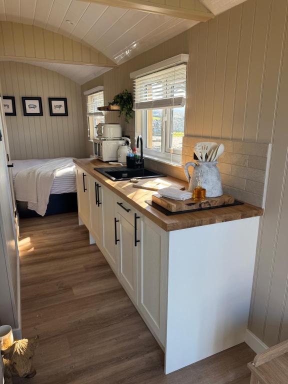 Kuchyň nebo kuchyňský kout v ubytování coastal view shepherds hut with hot tub