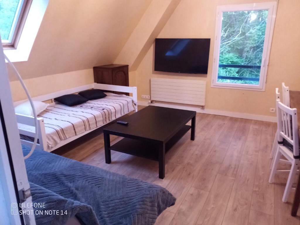 a living room with a couch and a tv at Gîte La Fantasia in Saint-Sylvain-dʼAnjou