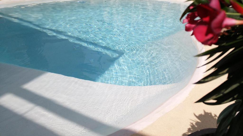 Der Swimmingpool an oder in der Nähe von Basic Mansion Mandalina