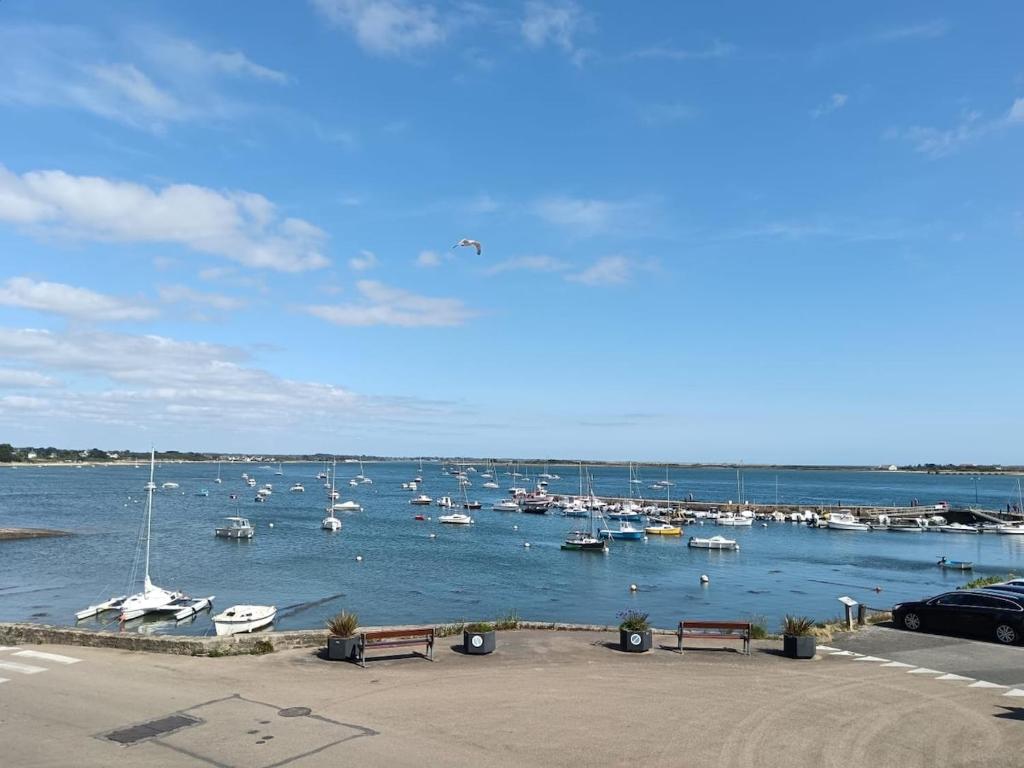 un groupe de bateaux est amarré dans un port dans l'établissement Appartement vue mer 2 à 3 pers, 100m plage, Port-Louis, à Port-Louis