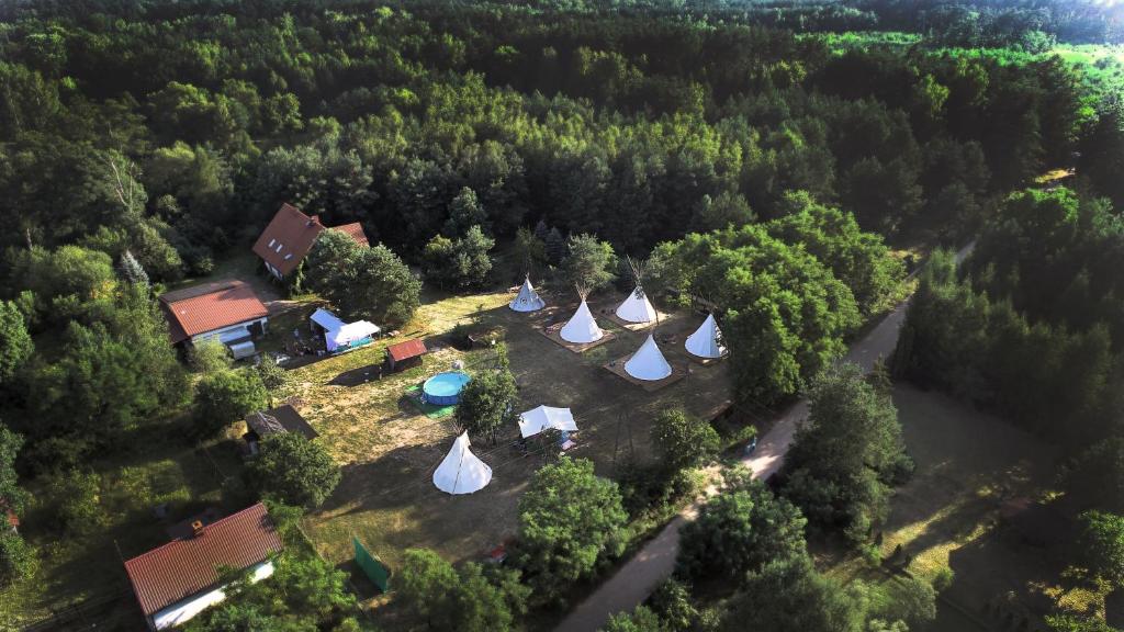 Příroda nedaleko luxury tent