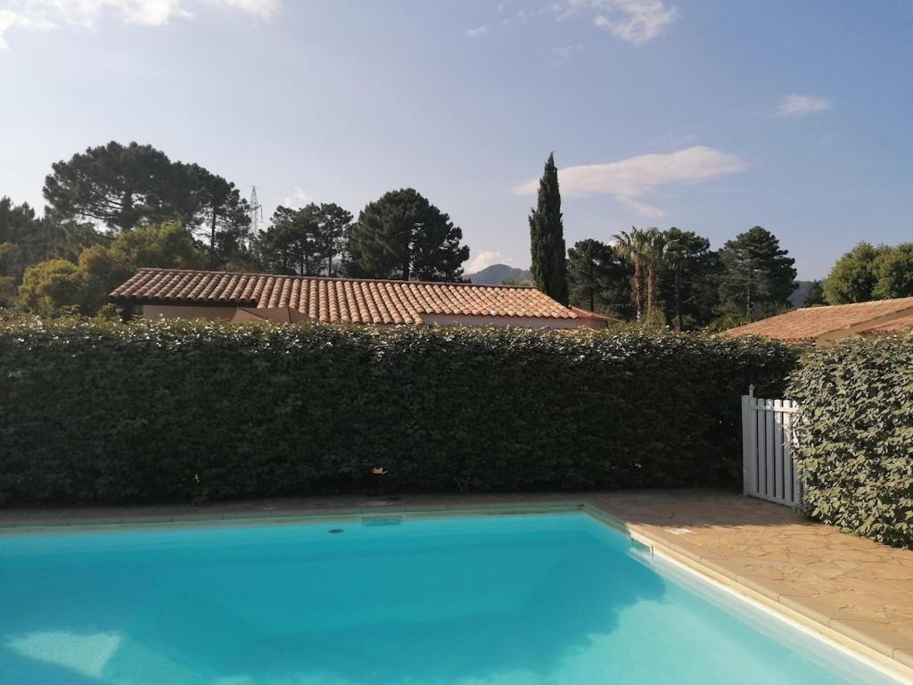 une piscine bleue en face d'une haie dans l'établissement villa Emmanuel, à Porto-Vecchio