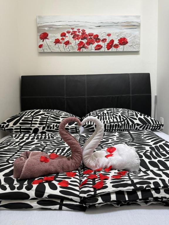 Apartmán v blízkosti centra Brna - 1