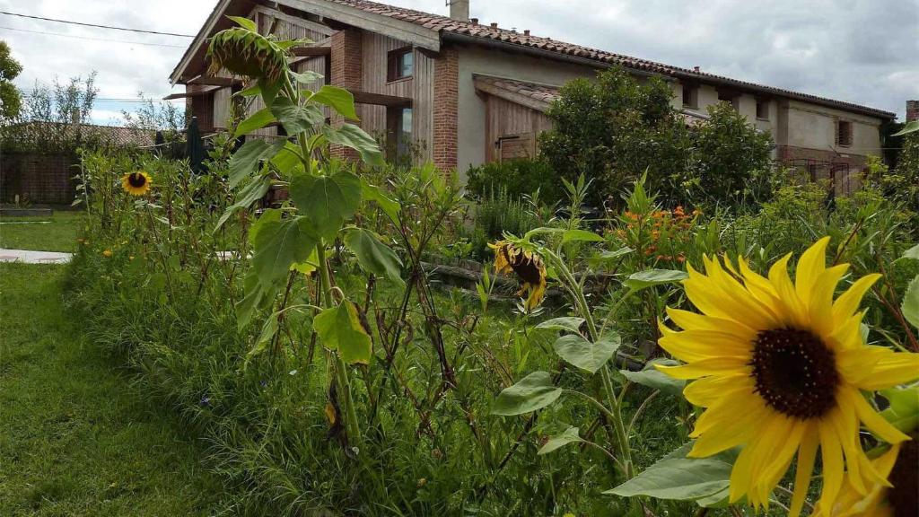 a garden with a sunflower in front of a house at Baugnac in Lavalette