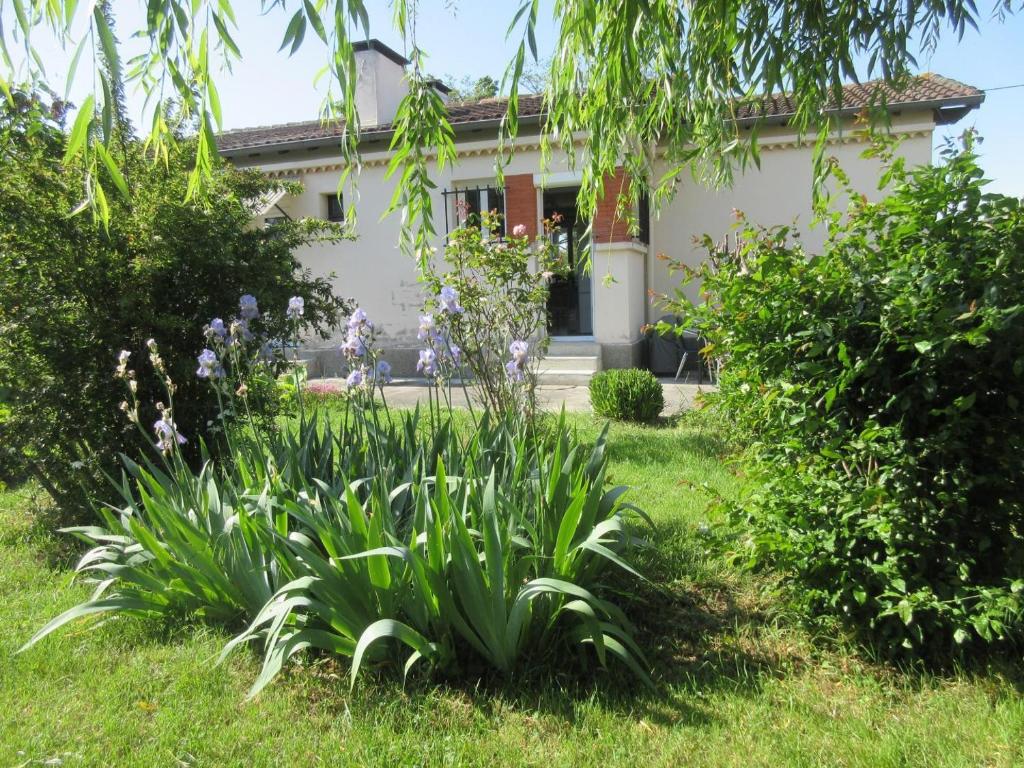 a garden in front of a house at Les lilas in Aussonne