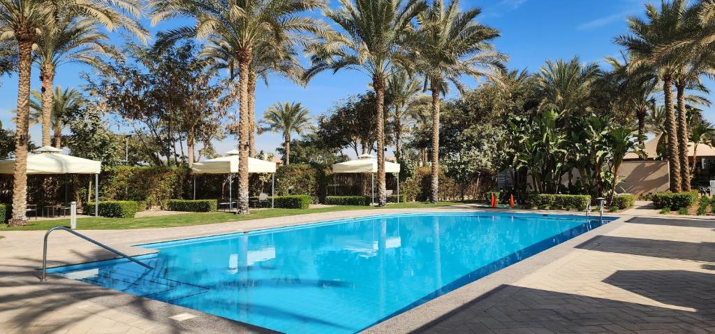 a swimming pool with palm trees in the background at Sunny Cairo City Center l Serviced l Golf l Pool l Gym l 1 in Cairo