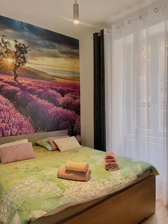 L'universal Provençal au coeur de Mulhouse – photo 2