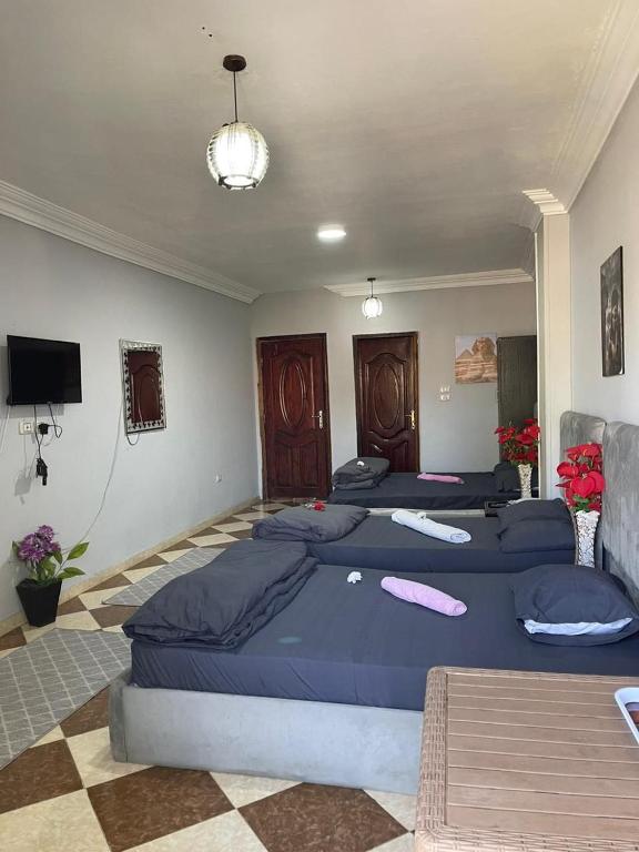 TV a/nebo společenská místnost v ubytování Giza pyramids Star Inn