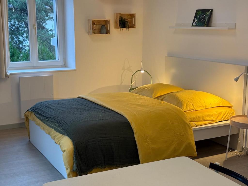 a bedroom with two beds with yellow pillows at Le Nid de Louise, near highway in Mulhouse