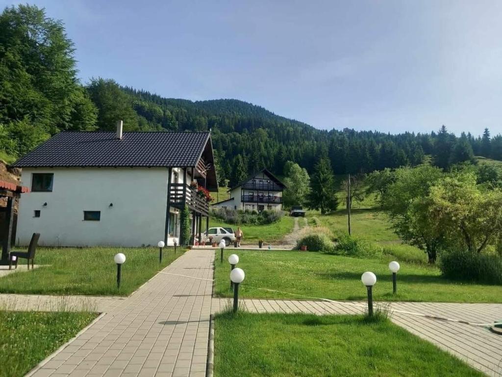 a house with a path next to a field with a house at Domeniul Barabuc Colibita in Colibiţa