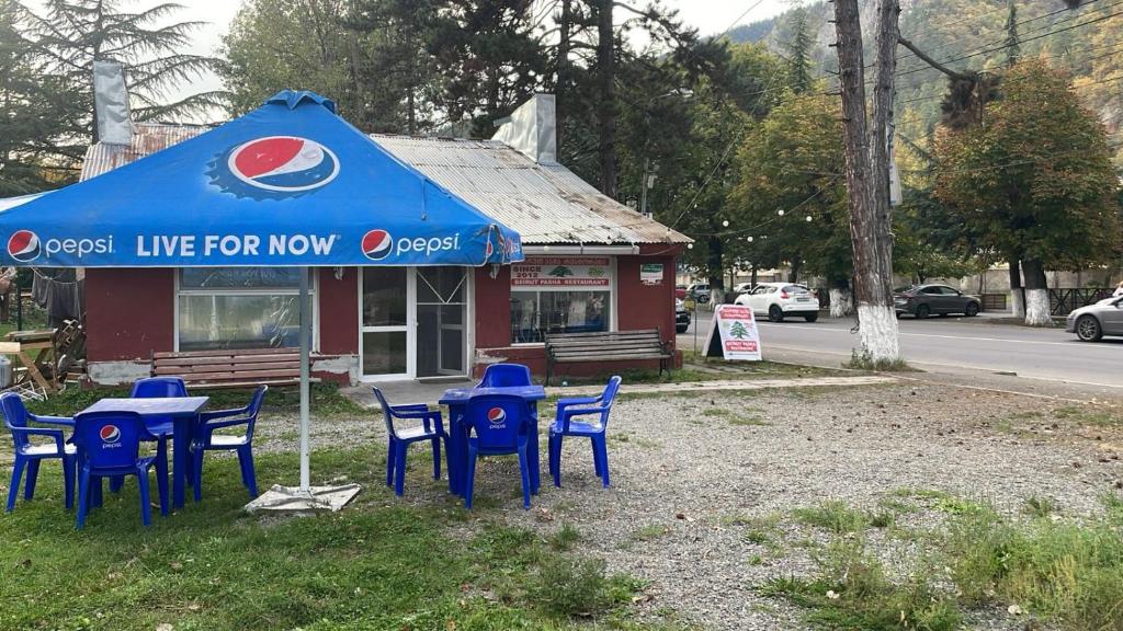 Příroda nedaleko hostelu