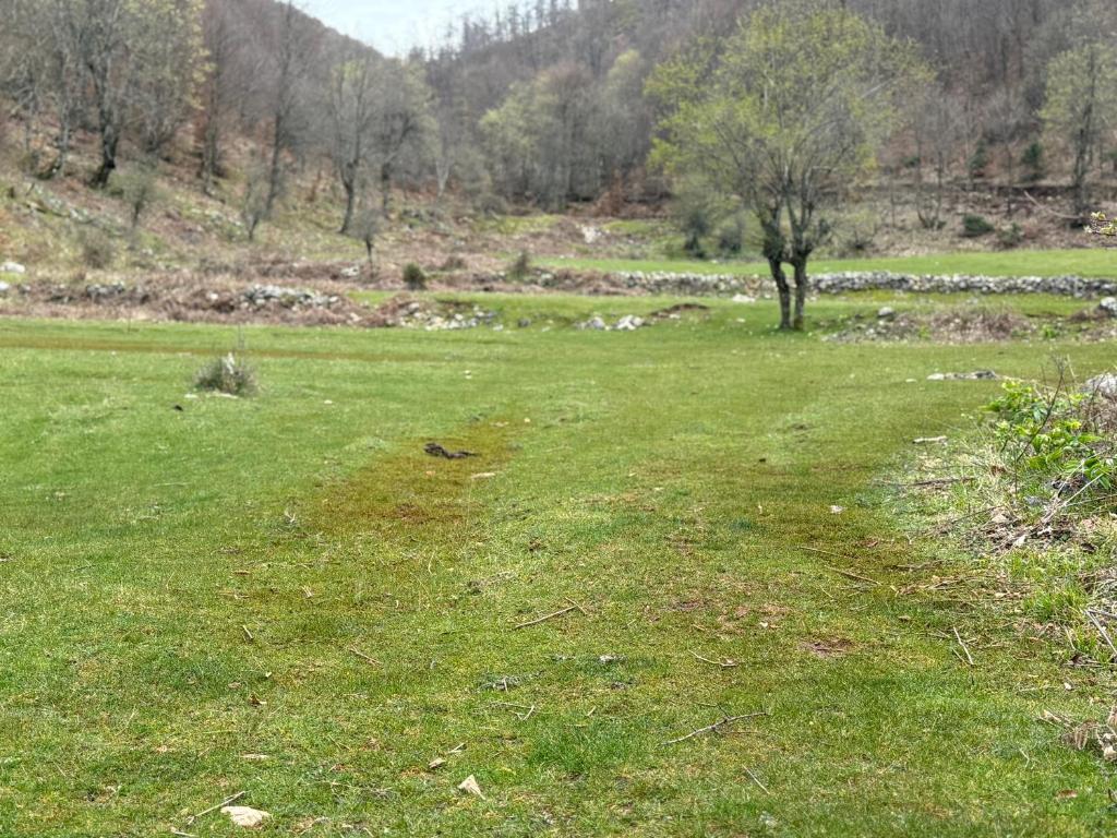 Příroda nedaleko apartmánu