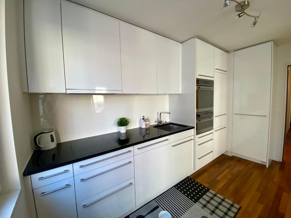 City Views Apartment am Schaffhauserplatz - Resim 22