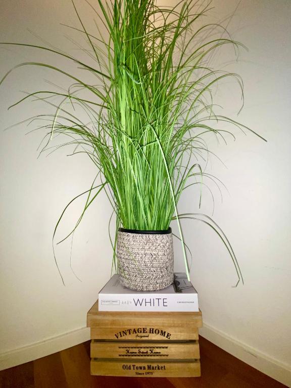 City Views Apartment am Schaffhauserplatz - Resim 38