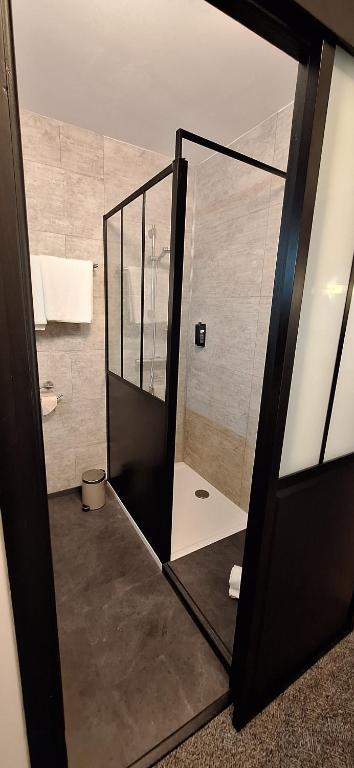 Koupelna v ubytování Brit Hotel le Cygne