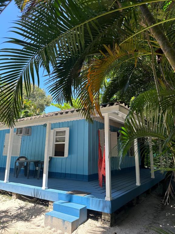 a blue house on the beach with a palm tree at Casa Oceano, Ilha do Mel in Paranaguá