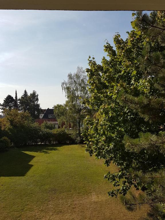 a yard with green grass and a tree at Monteurwohnung Osnabrück 3-Zimmer mit Balkon in Osnabrück
